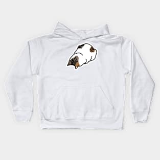 Faceplant Cat Kids Hoodie